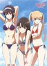 Saekano: How to Raise a Boring Girlfriend Flat Cloth Poster B (Anime Toy)