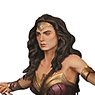 Wonder Woman Figure Kit (Plastic model)