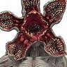 Stranger Things/ Demogorgon 10inch Action Figure (Completed)