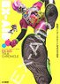 Official Perfect Book Kamen Rider Ex-Aid [Ex-Aid True Chronicle] (Art Book)