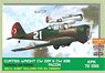 Curtiss Wright CW22R & CW22B Facon Turkish Air Force (2 Types, 1 Piece Each) (Plastic model)