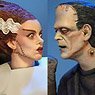 The Bride of Frankenstein (Completed)