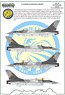 F-16AM/BM 「ルーマニア空軍」 (デカール)