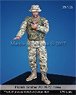 Polish Soldier #1 APC Commander (Plastic model)