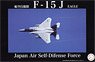 F15-J Tactical Fighter Training Group Aggressor 908 (Plastic model)