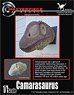 カマラサウルスの頭部モデル (プラモデル)