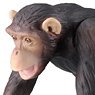 アニア AS－14 チンパンジー (動物フィギュア)