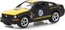 2008 Ford Mustang Terlingua Racing Team #07 (ミニカー)