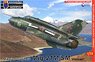 MiG-21M/SM 「ロシアスペシャル」 (プラモデル)