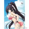 IS (Infinite Stratos) Draw for a Specific Purpose B2 Tapestry (Hoki/Beach) (Anime Toy)