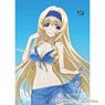 IS (Infinite Stratos) Draw for a Specific Purpose B2 Tapestry (Cecilia/Beach) (Anime Toy)