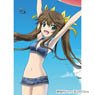 IS (Infinite Stratos) Draw for a Specific Purpose B2 Tapestry (Lingyin/Beach) (Anime Toy)