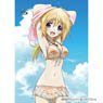 IS (Infinite Stratos) Draw for a Specific Purpose B2 Tapestry (Charlotte/Beach) (Anime Toy)