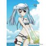IS (Infinite Stratos) Draw for a Specific Purpose B2 Tapestry (Laura/Beach) (Anime Toy)