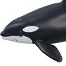 Ania AL-08 Killer Whale Parent-Child (Animal Figure)