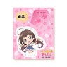 The Ryuo`s Work is Never Done! Acrylic Stand Ai Hinatsuru (Anime Toy)
