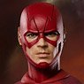 Star Ace Toys Real Master Series The Flash 1/8 Collectable Action Figure (Completed)