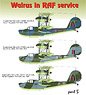 1/72 Supermarine Walrus Part 5 in RAF Service (Decal)