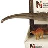 英国自然史博物館 ディプロドクス & ケントロサウルス(40cm & 9cm) (完成品)