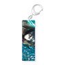 Attack on Titan Stick Acrylic Key Ring Part2 Mikasa (Anime Toy)