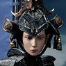 The Butterfly Helmets Female Warriors/ The Old Color Amor Luxury Version (Fashion Doll)