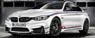 BMW M4 Champion Edition DTM Driver Marco Wittma (Full Opening & Closing) LHD (Diecast Car)