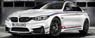 BMW M4 Champion Edition DTM Driver Marco Wittman (全開閉) LHD (ミニカー)