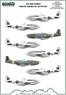 P-51D 「第303 コシチュシコ戦闘機中隊」 (デカール)