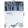 Diorama Sheet PRO EX [Winter A1] (Fashion Doll)