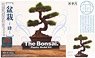 The Bonsai Plastic Model Kit -Four- w/Etching Pruning Scissors (Plastic model)