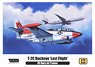 T-2C Buckeye `Last Flight` (Plastic model)