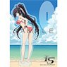[IS (Infinite Stratos)] Acrylic Stand (Hoki/Beach) (Anime Toy)