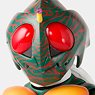 S.H.Figuarts (Shinkoccou Seihou) Kamen Rider Amazon (Completed)