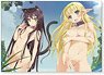How NOT to Summon a Demon Lord A2 Clear Poster (C/Shera & Rem) (Anime Toy)
