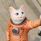Space-Suited Cat `tanpopo` (Uncolored Kit)