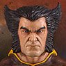 Marvel - 1/8 Scale Statue: Wolverine (1980`s Brown Costume Version) (Completed)