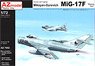MiG-17F 「ワルシャワ条約加盟国」 (プラモデル)