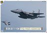 F-15K 「ピンポイントシューター」 (プラモデル)