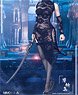 Manmodel 1/6 Sexy Lace Cheongsam Set Black (Fashion Doll)