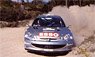 Peugeot 206 WRC M.Gronholm / T.Rautiainen 2nd Rally de Portugal 2000 #10 (Diecast Car)