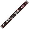 Attack on Titan Muffler Towel with Fringe A [Eren] (Anime Toy)