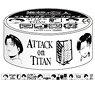 [Attack on Titan] Masking Tape / Levi (Anime Toy)