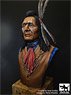 Sioux (Dakota) Bust Figure (Plastic model)