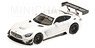 メルセデス AMG GT3 プレーン ボディ バージョン 2017 ホワイト (ミニカー)