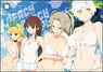 Senran Kagura Peach Beach Splash Synthetic Leather Pass Case Hebijo Clandestine Girls` Academy (Anime Toy)