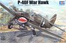 P-40F Warhawk (Plastic model)