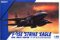 F-15E Strike Eagle Dual Roles Fighter (Plastic model)