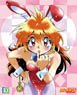Axia Canvas Art Series No.044-F30th Slayers [Lina] Original Ver. Bunny Ver. (Fantasia Bunko 30th Anniversary) (Anime Toy)
