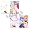 High School DxD Hero Clear File Set Vol.2 (Anime Toy)