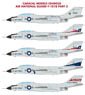 アメリカ空軍州兵 F-101B Part.2 デカール